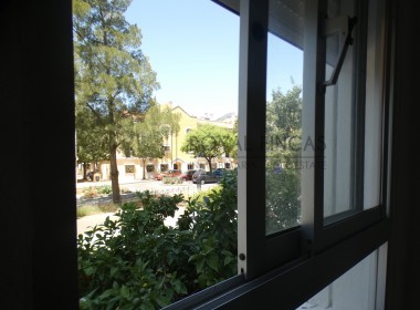 P1130203-1